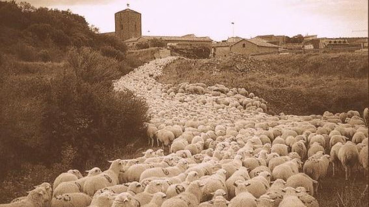 Vía pecuaria.