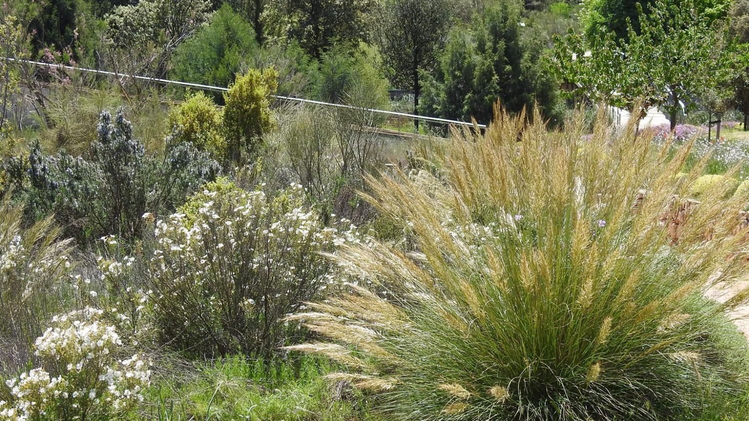 El patronato de la Fundación del Jardín Botánico de Castilla-La Mancha ha aprobado el presupuesto para el ejercicio 2023.