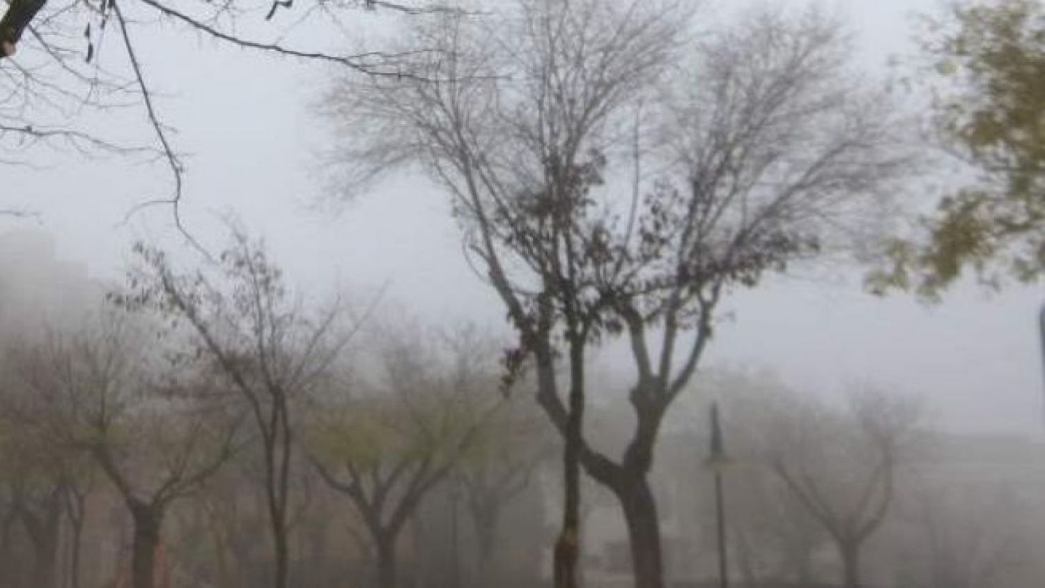 Niebla en Castilla-La Mancha.