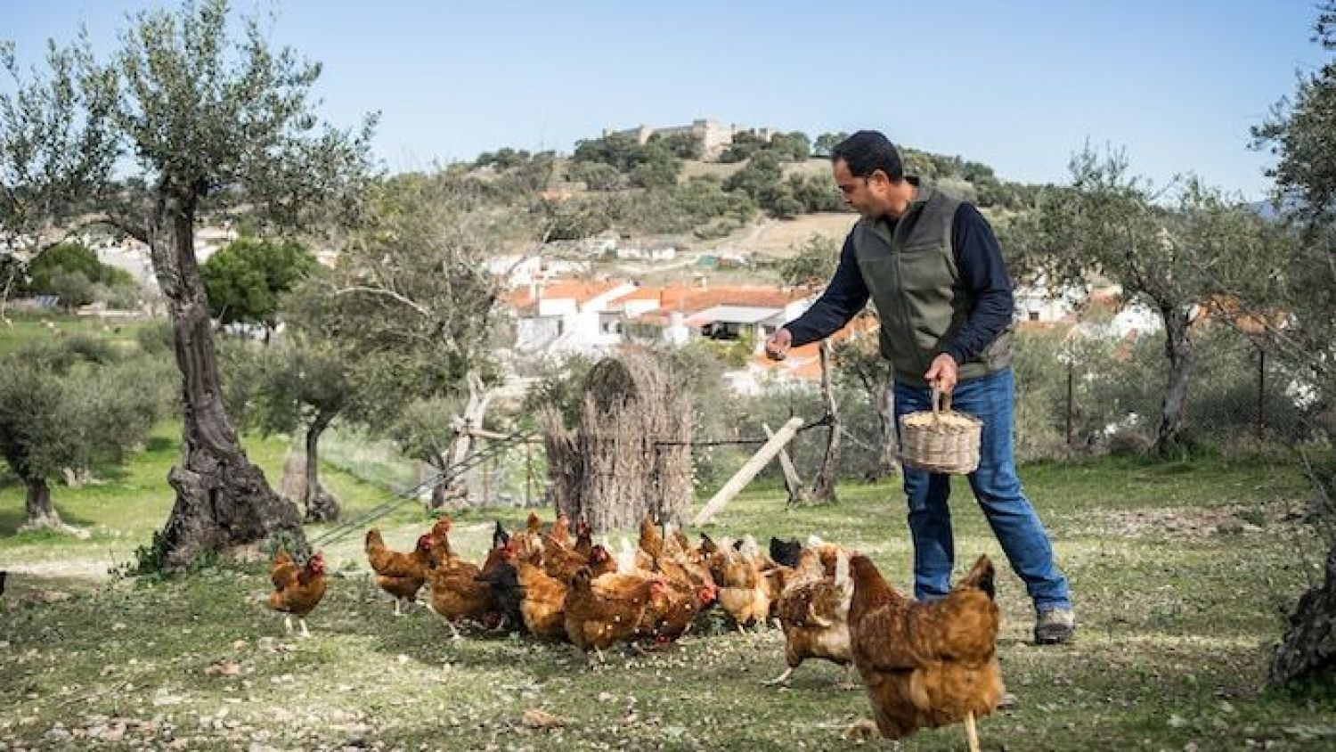 Mundo rural de Guadalajara.