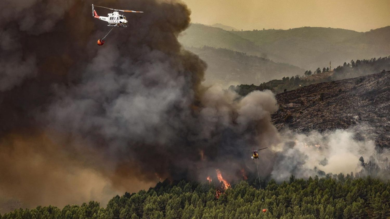 Un incendio forestal.