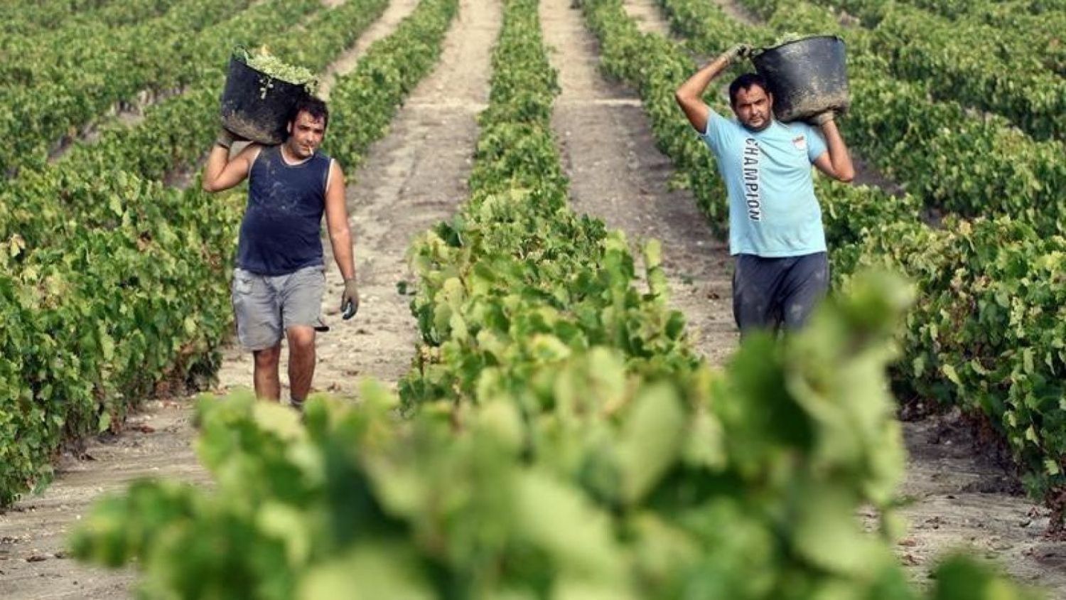 Trabajadores del campo de CLM.