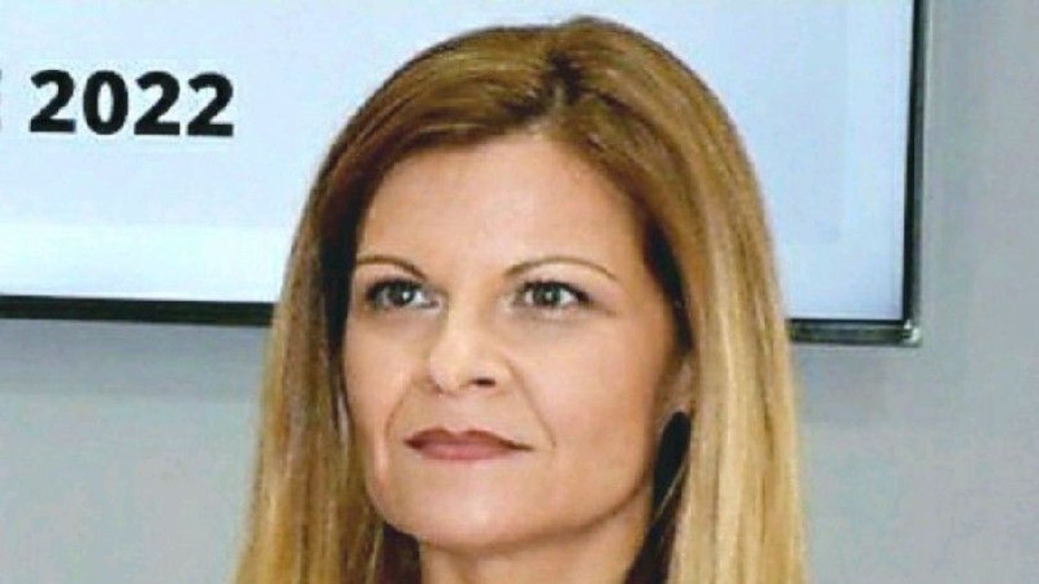 La directora del Instituto de la Mujer, Lourdes Luna.