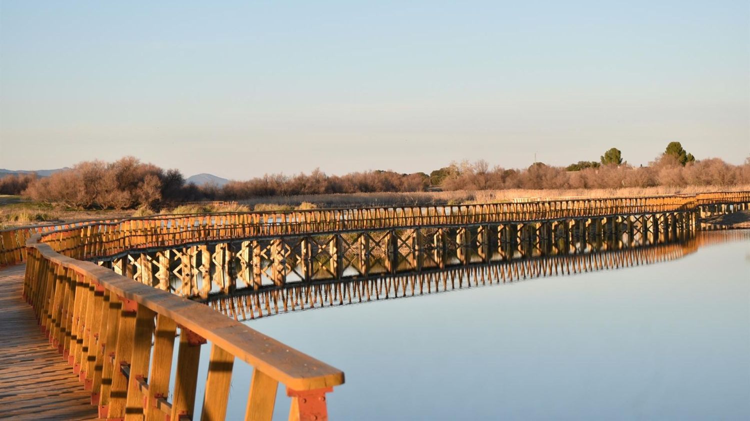 Parque Nacional de las Tablas de Daimiel