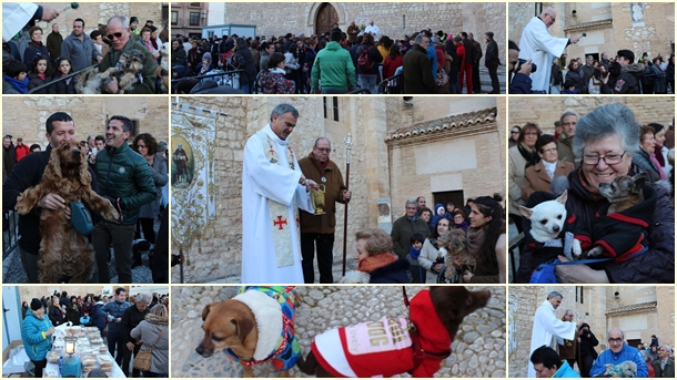 Bendición de animales en Ciudad Real (Fotos: Virginia Rivera)